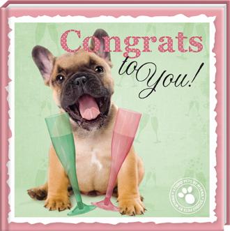 Omslag van Congrats to you! 4 ex.