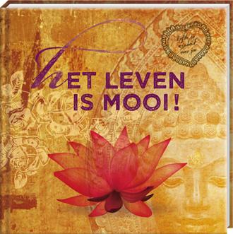 Omslag van Het leven is mooi! - set 4 ex