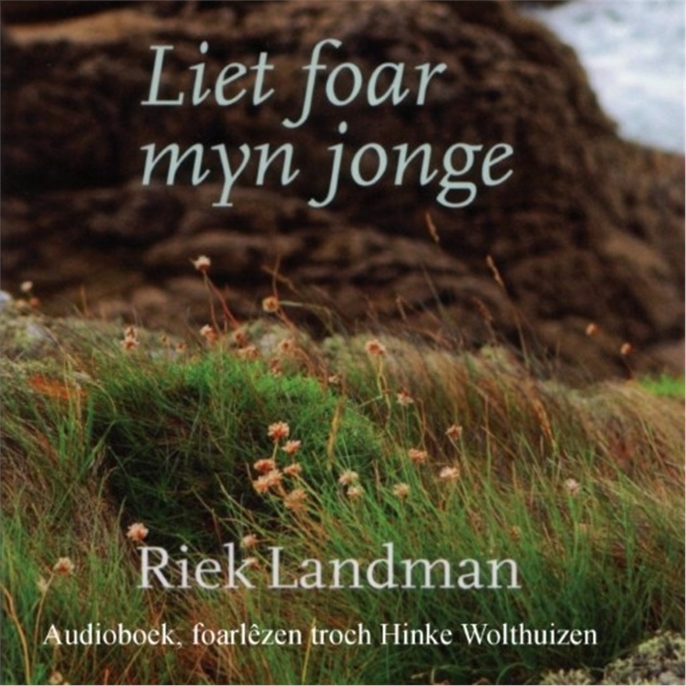 Omslag van Liet foar myn jonge
