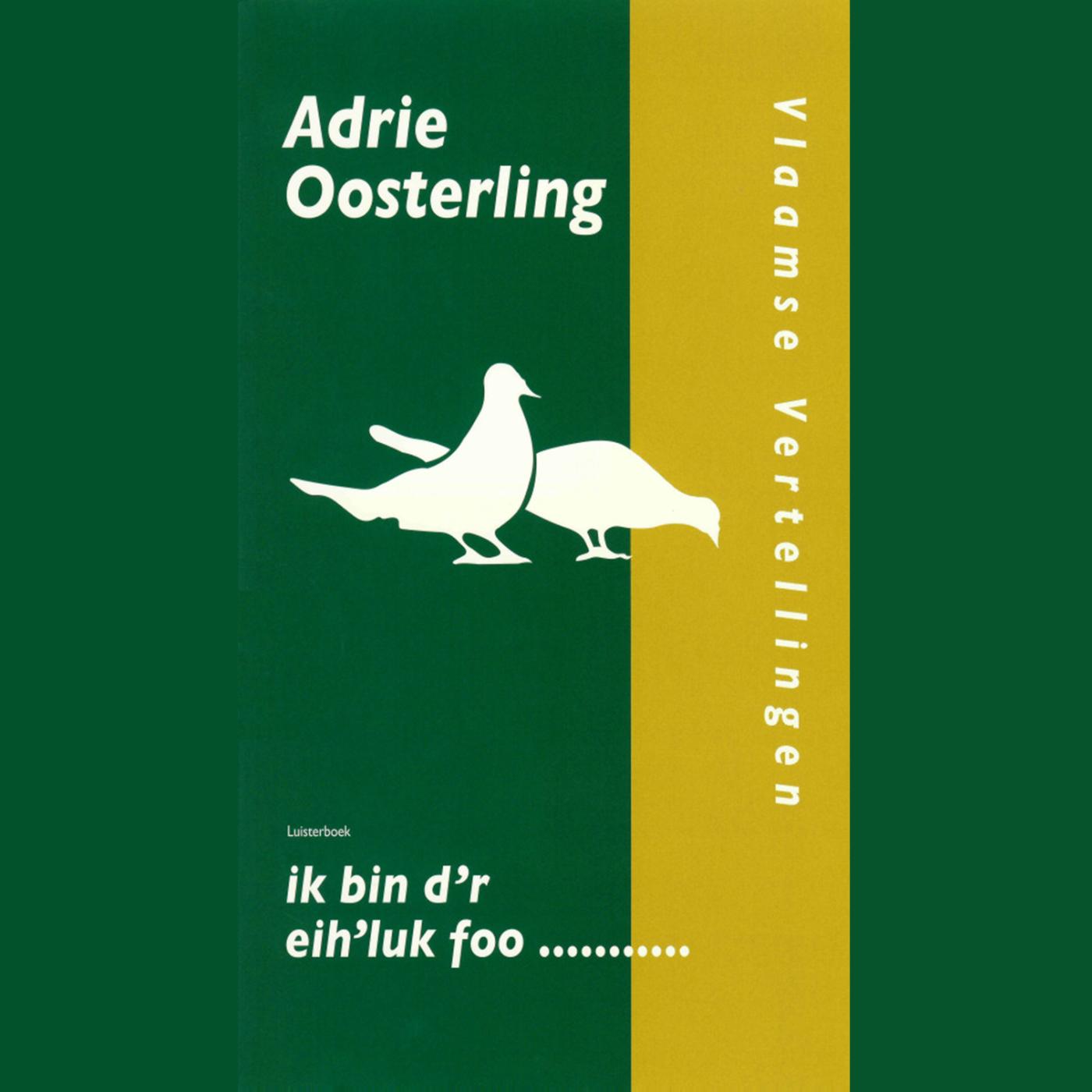 Omslag van Ik bin d'r eih'luk foo…