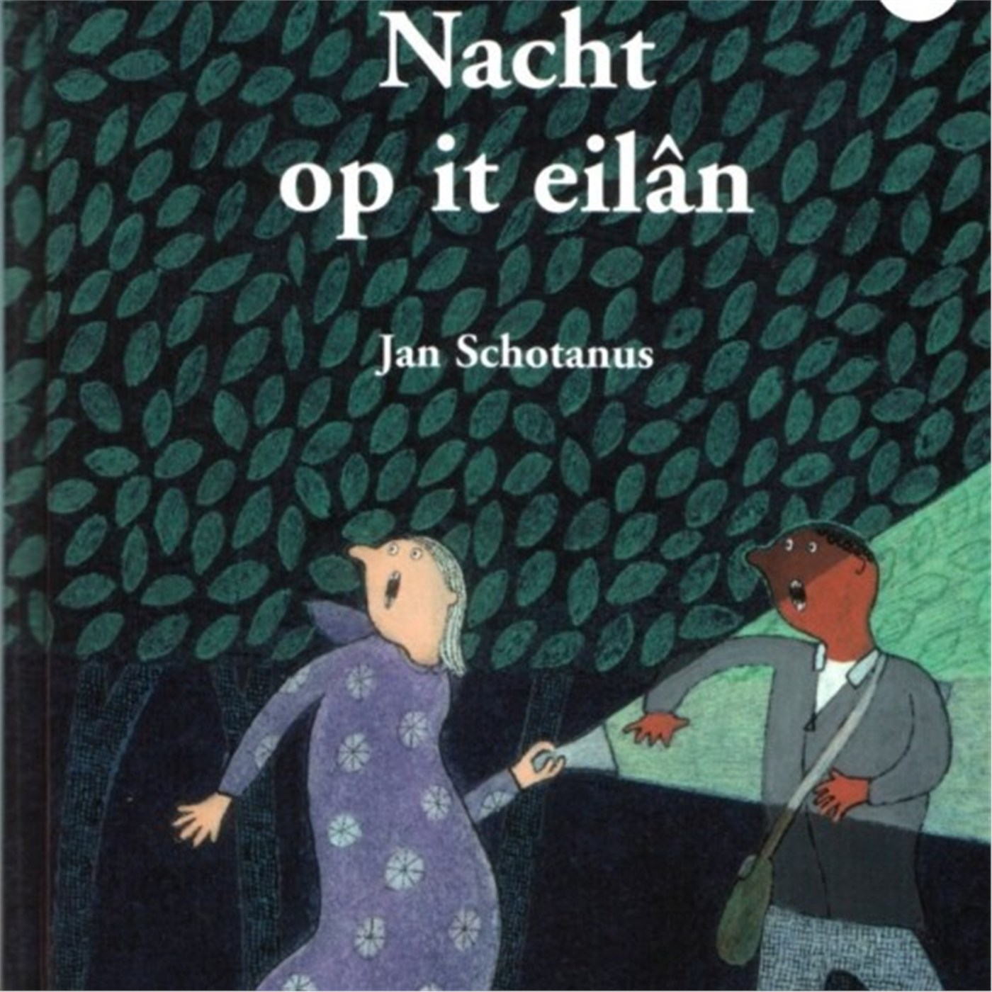 Omslag van Nacht op it eilân