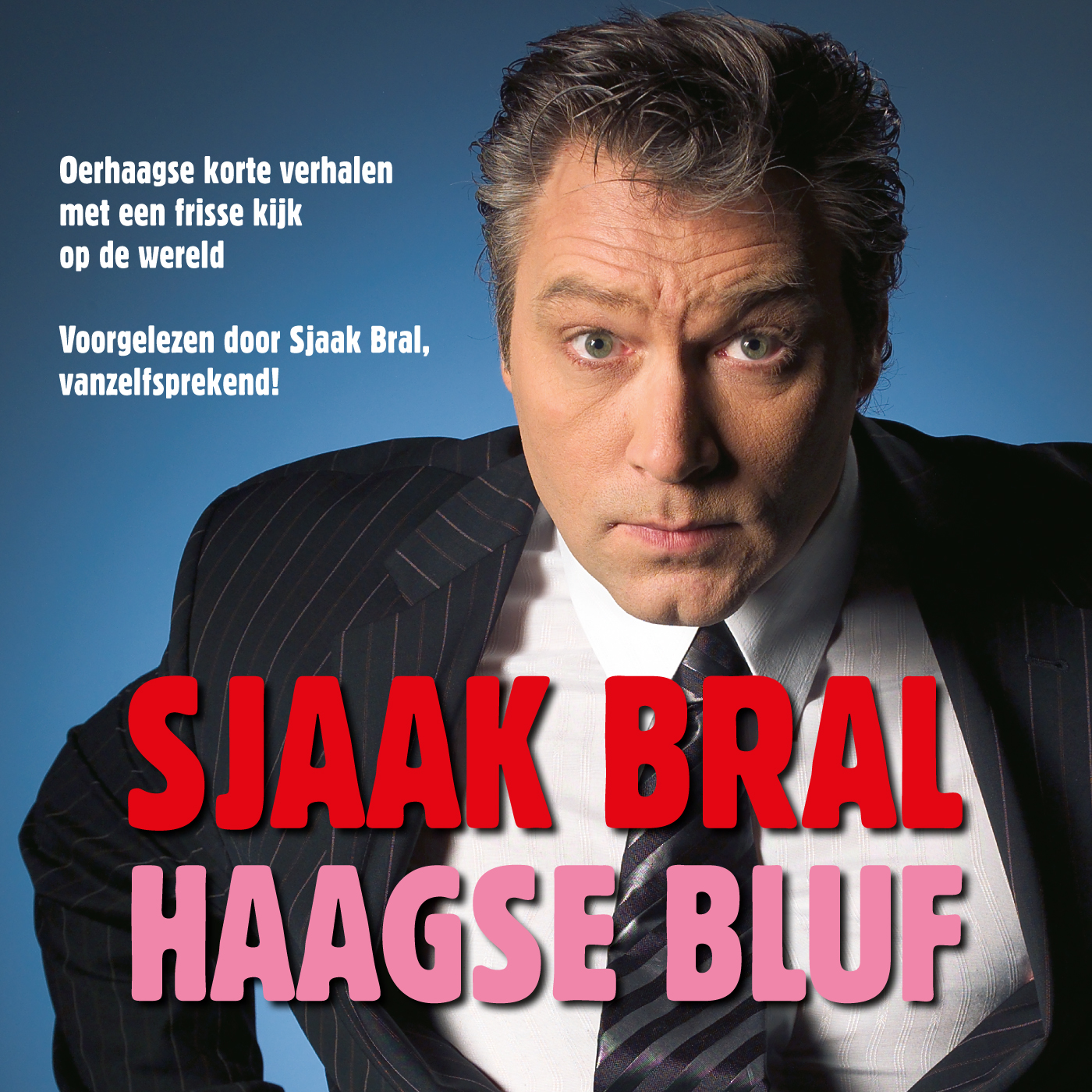 Omslag van Haagse bluf