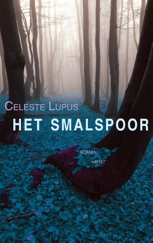 Omslag van Hetr smalspoor