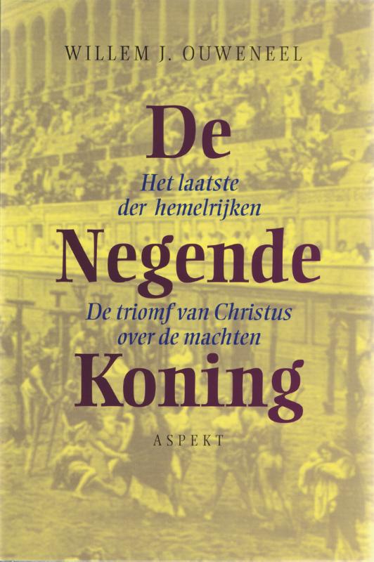 Omslag van De negende koning