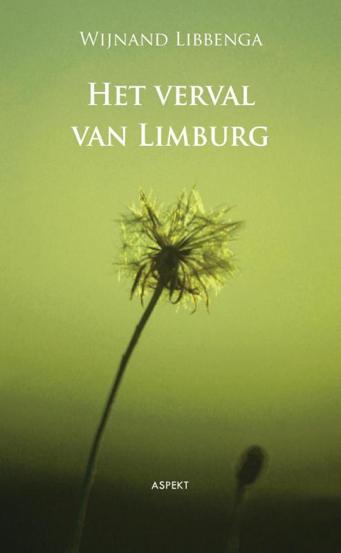 Omslag van Het verval van Limburg