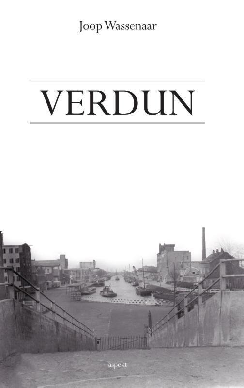 Omslag van Verdun