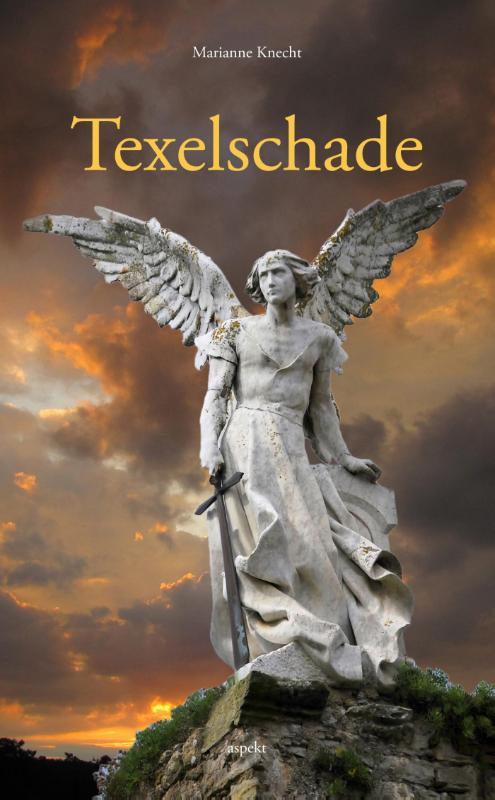 Omslag van Texelschade