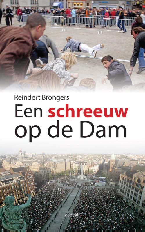 Omslag van Een schreeuw op de dam