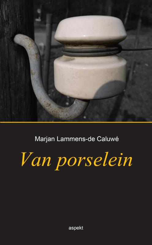 Omslag van Van porselein