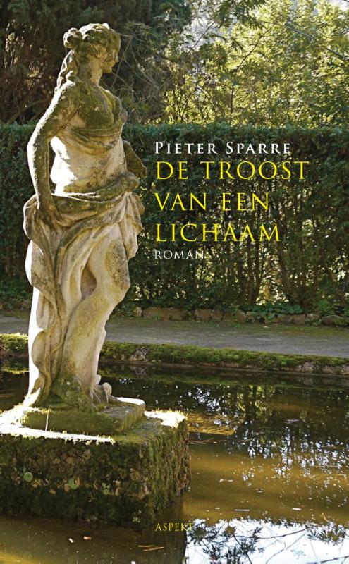Omslag van De troost van een lichaam