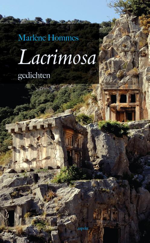 Omslag van Lacrimosa