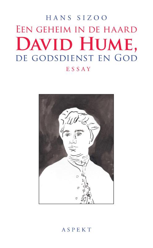 Omslag van Een geheim in de haard