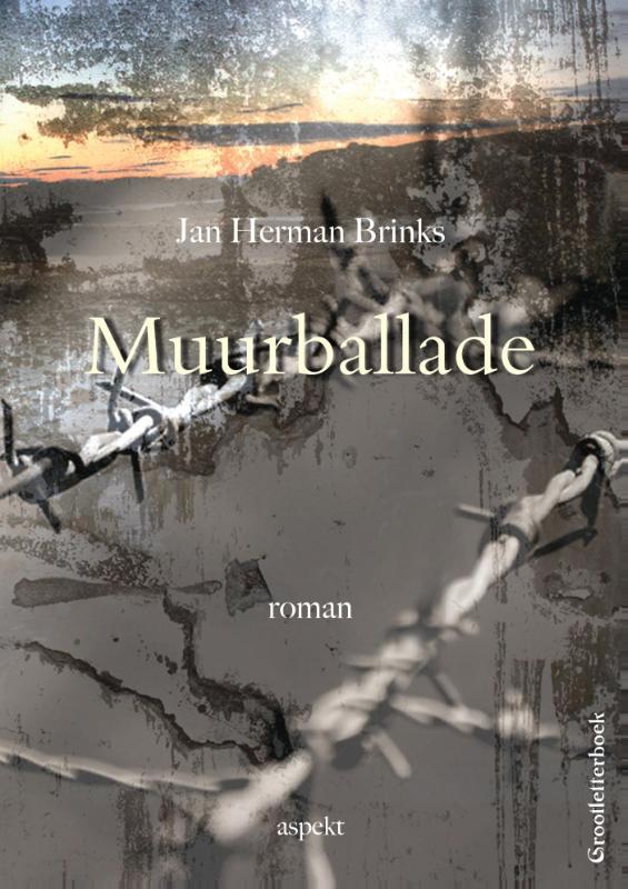 Omslag van Muurballade