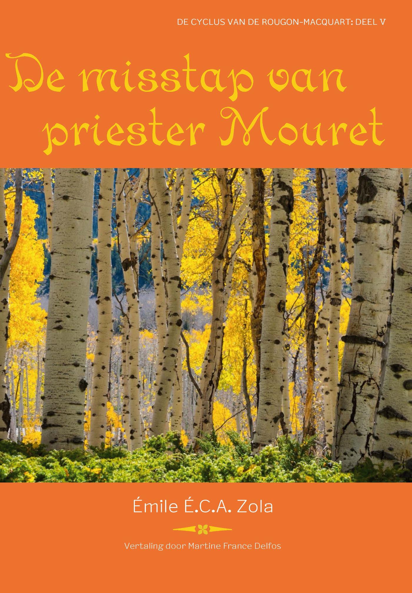 Omslag van De misstap van priester Mouret