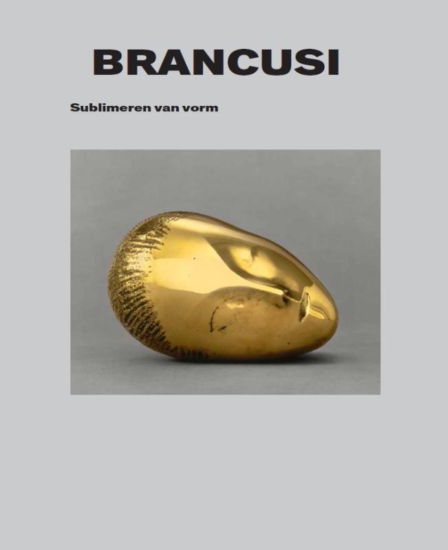Omslag van Brancusi