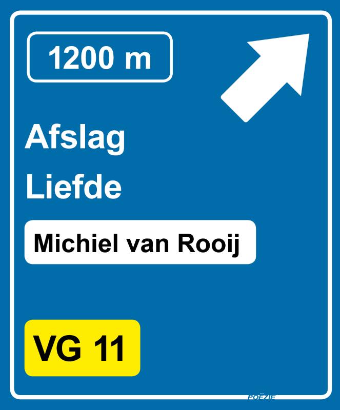 Omslag van Afslag liefde
