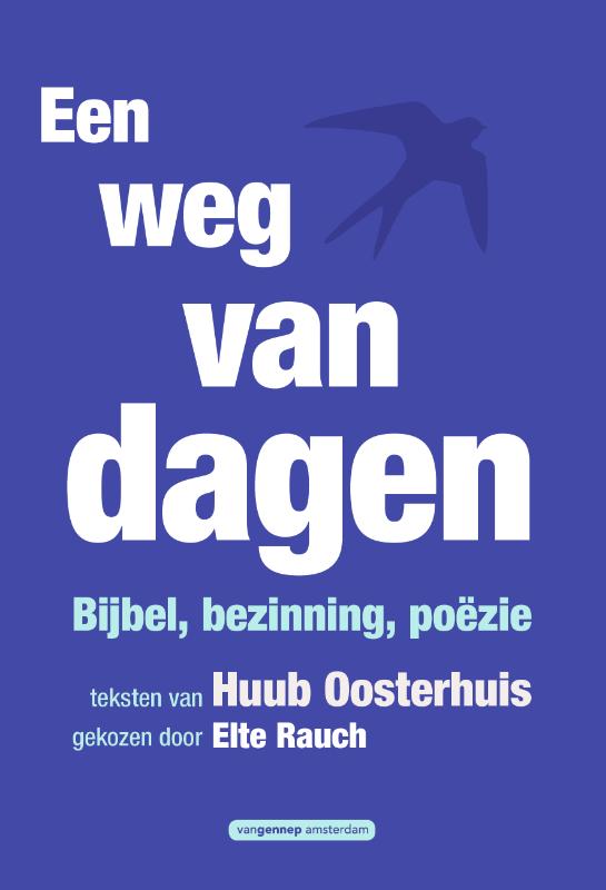 Omslag van Een weg van dagen