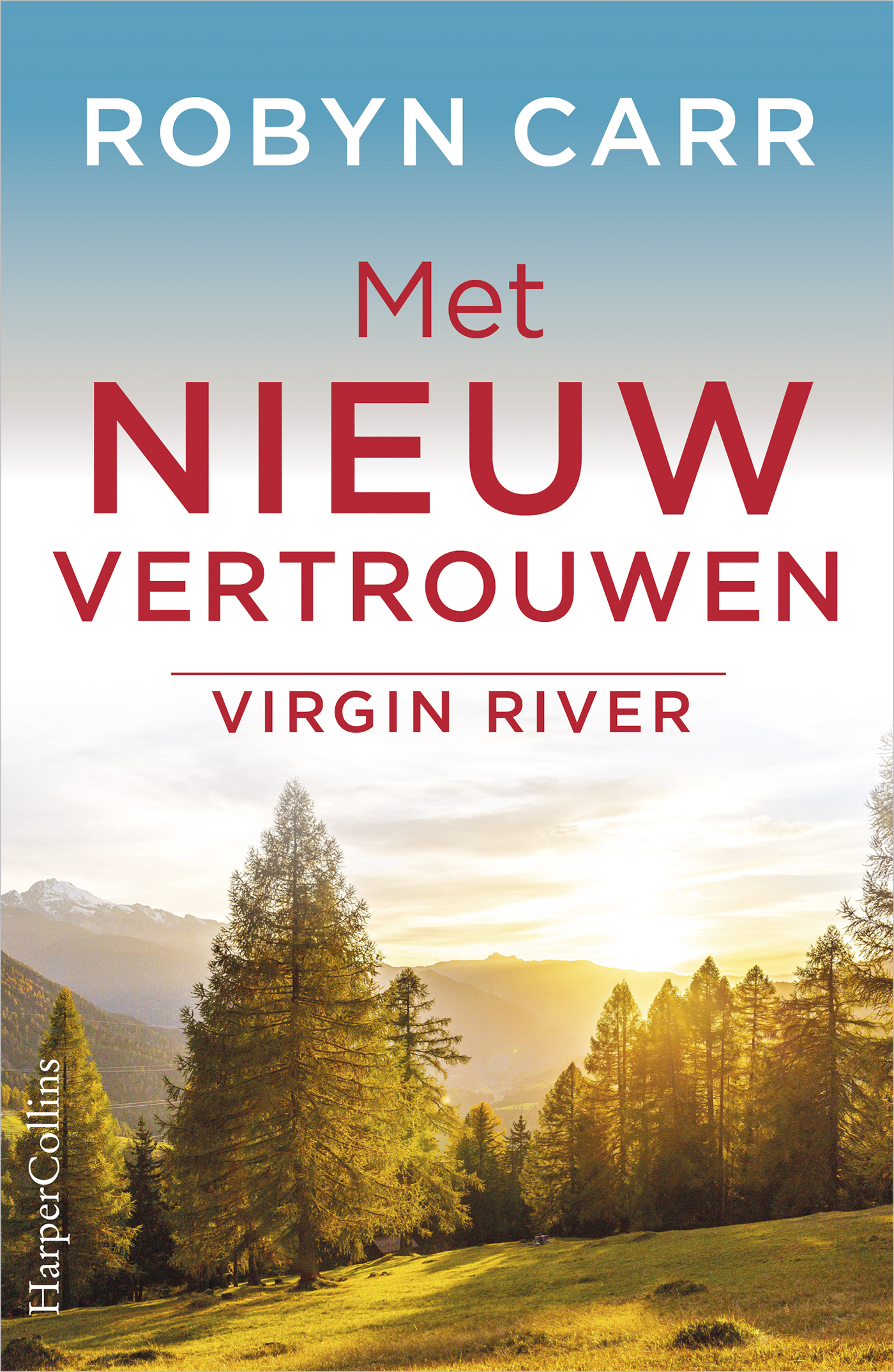 Omslag van Met nieuw vertrouwen