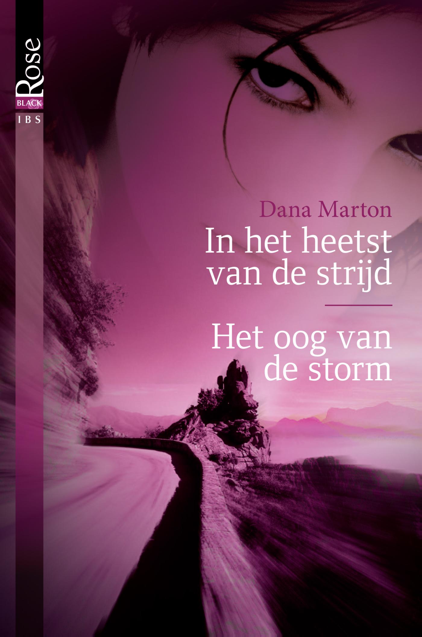 Omslag van In het heetst van de strijd ; Het oog van de storm