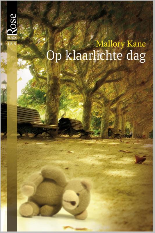 Omslag van Op klaarlichte dag