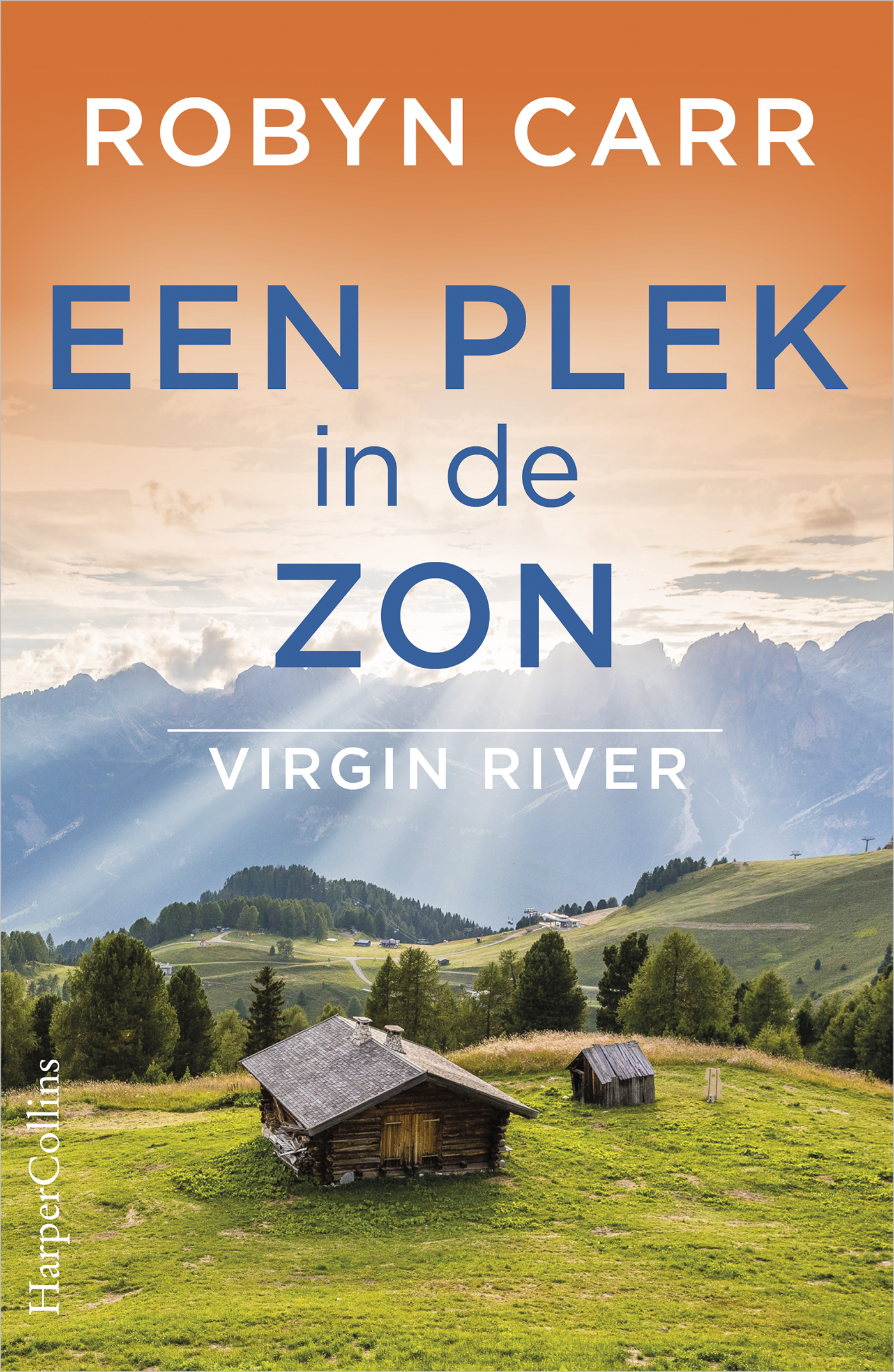 Omslag van Een plek in de zon