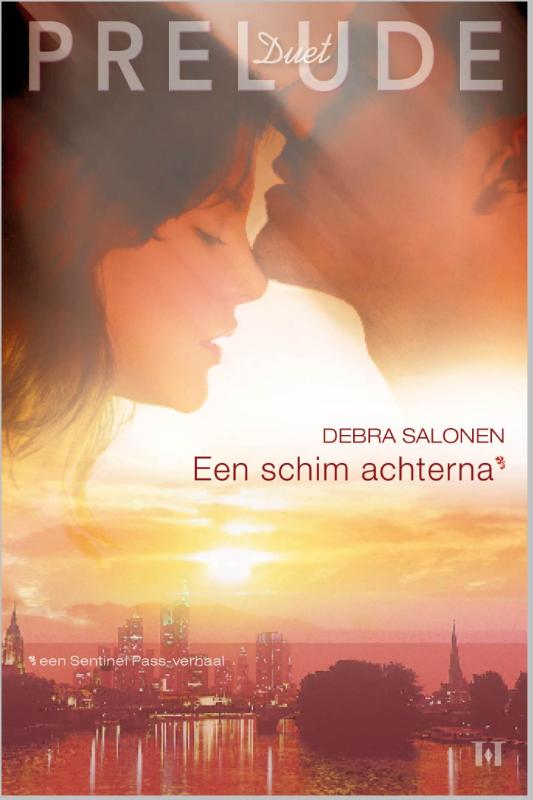 Omslag van Een schim achterna