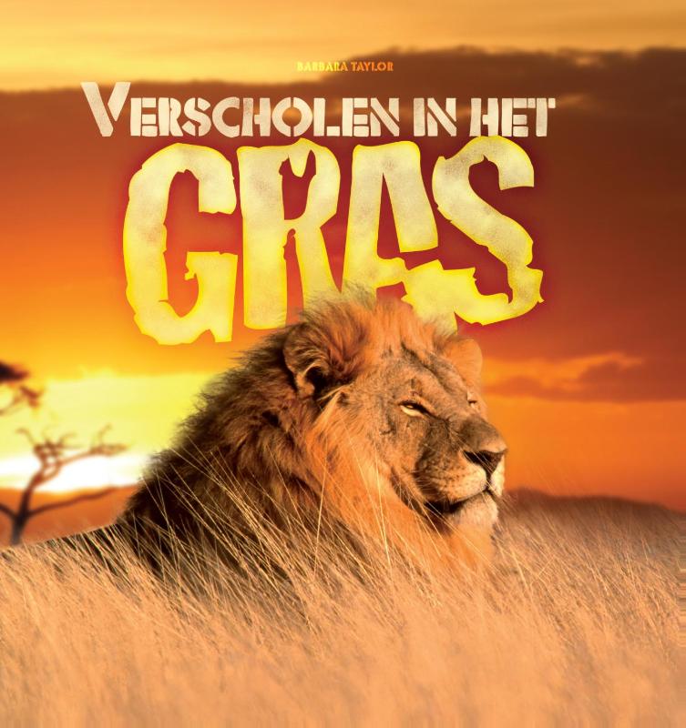 Omslag van Verscholen in het gras
