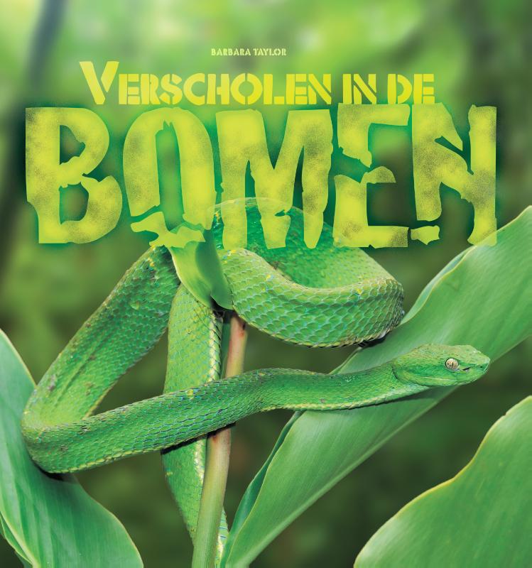 Omslag van Verscholen in de bomen