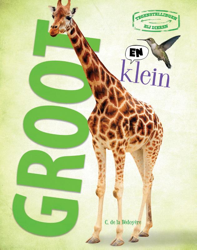 Omslag van Groot en klein