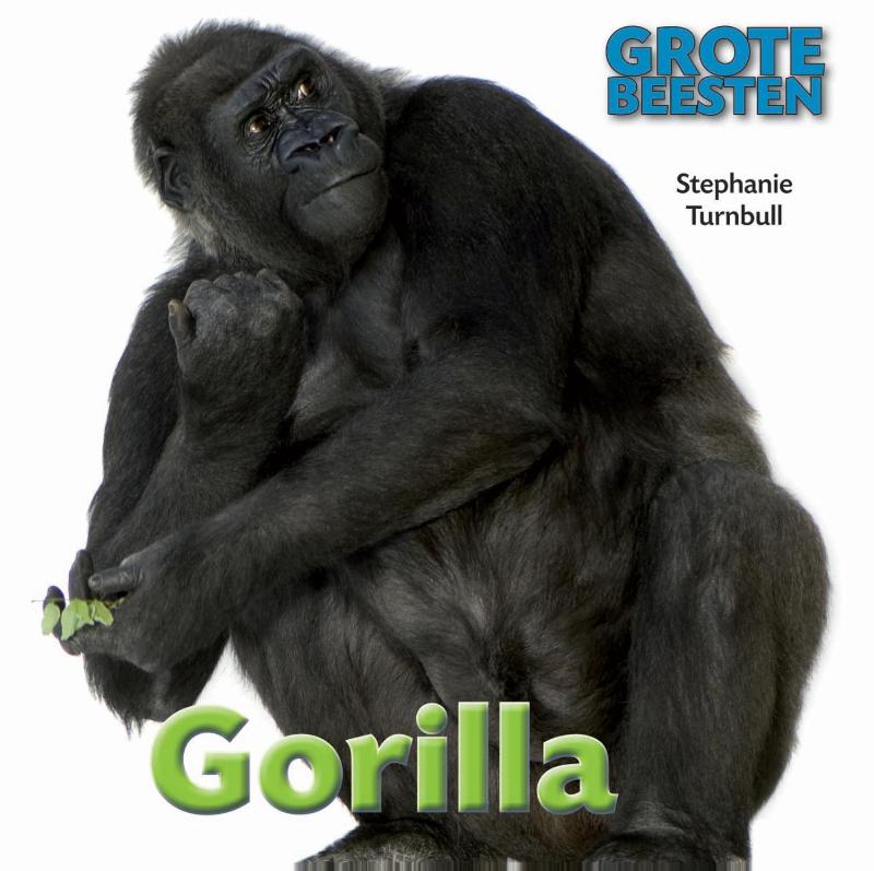 Omslag van Gorilla