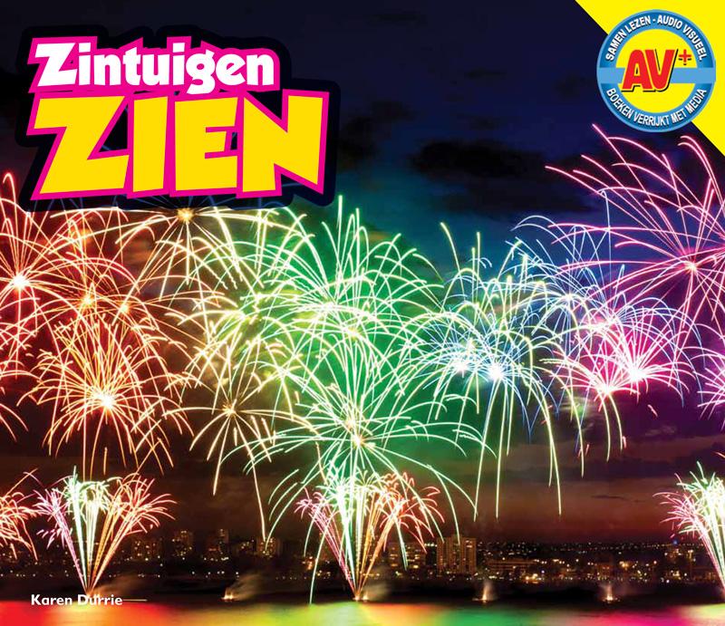 Omslag van Zien