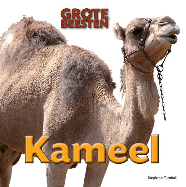 Omslag van Kameel