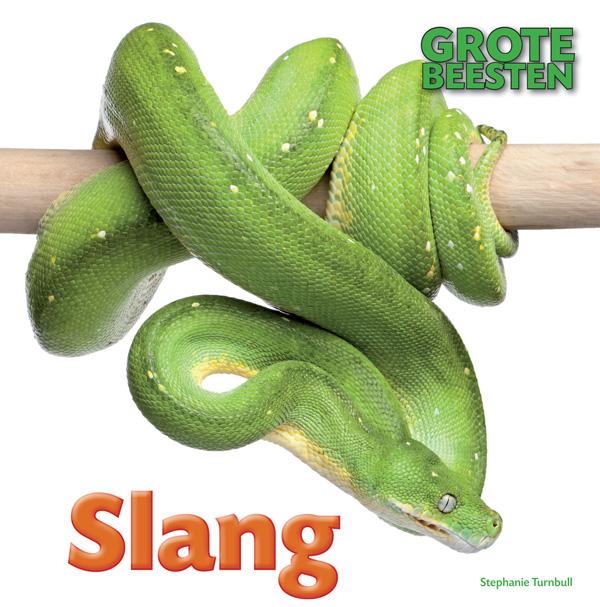 Omslag van Slang