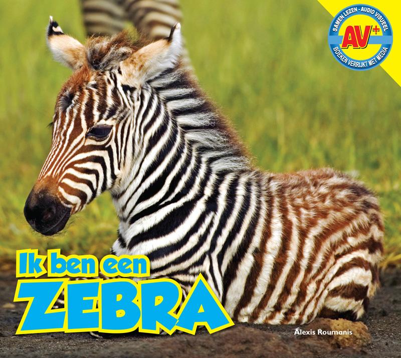 Omslag van Zebra
