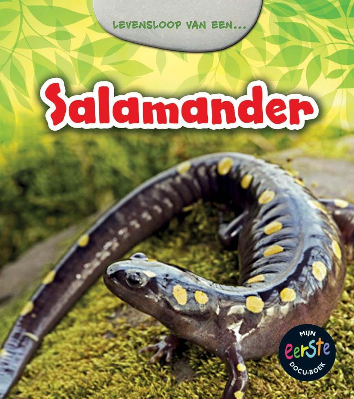 Omslag van Salamander
