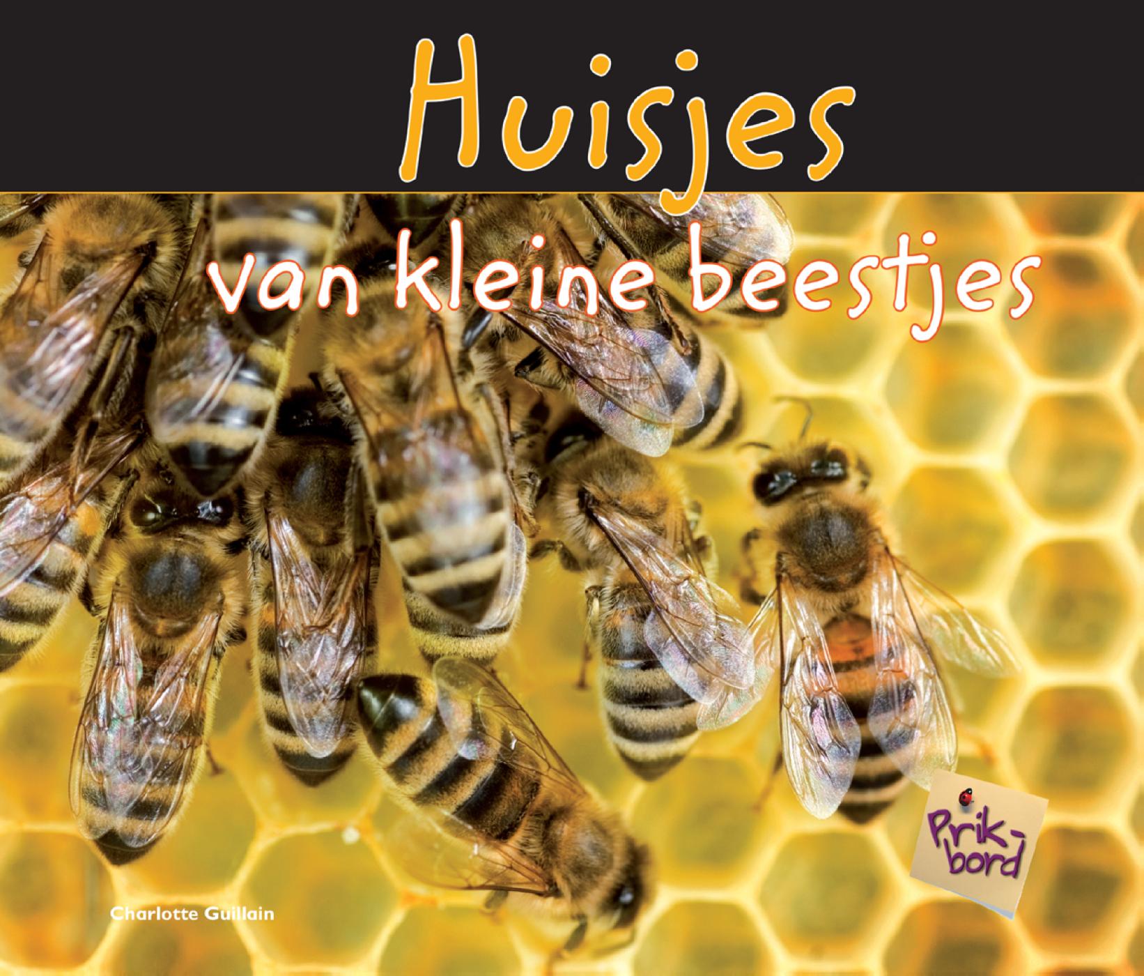 Omslag van Huisjes van kleine beestjes