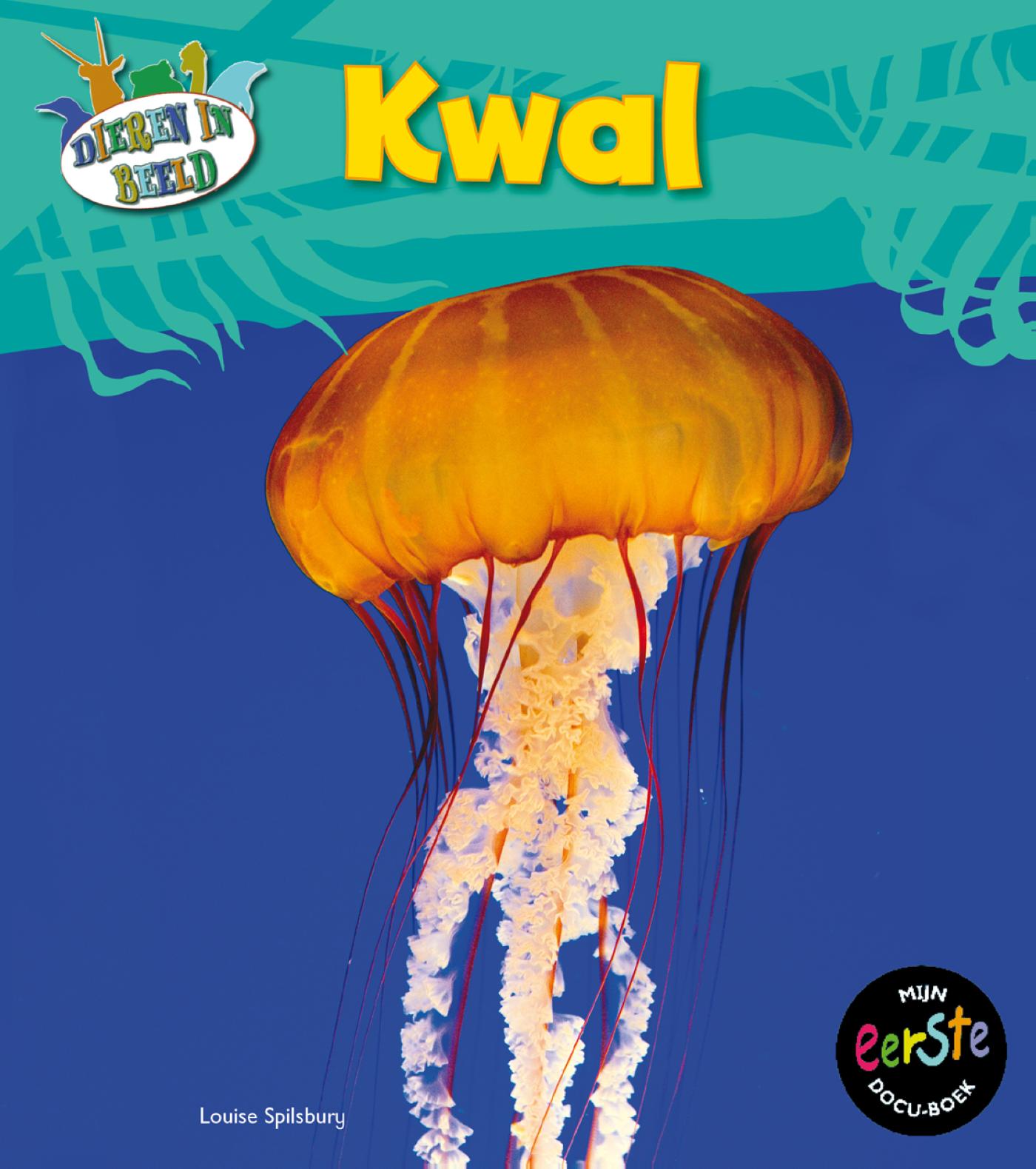 Omslag van Kwal