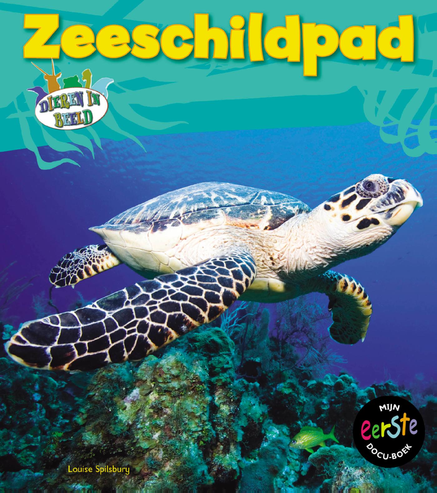 Omslag van Zeeschildpad