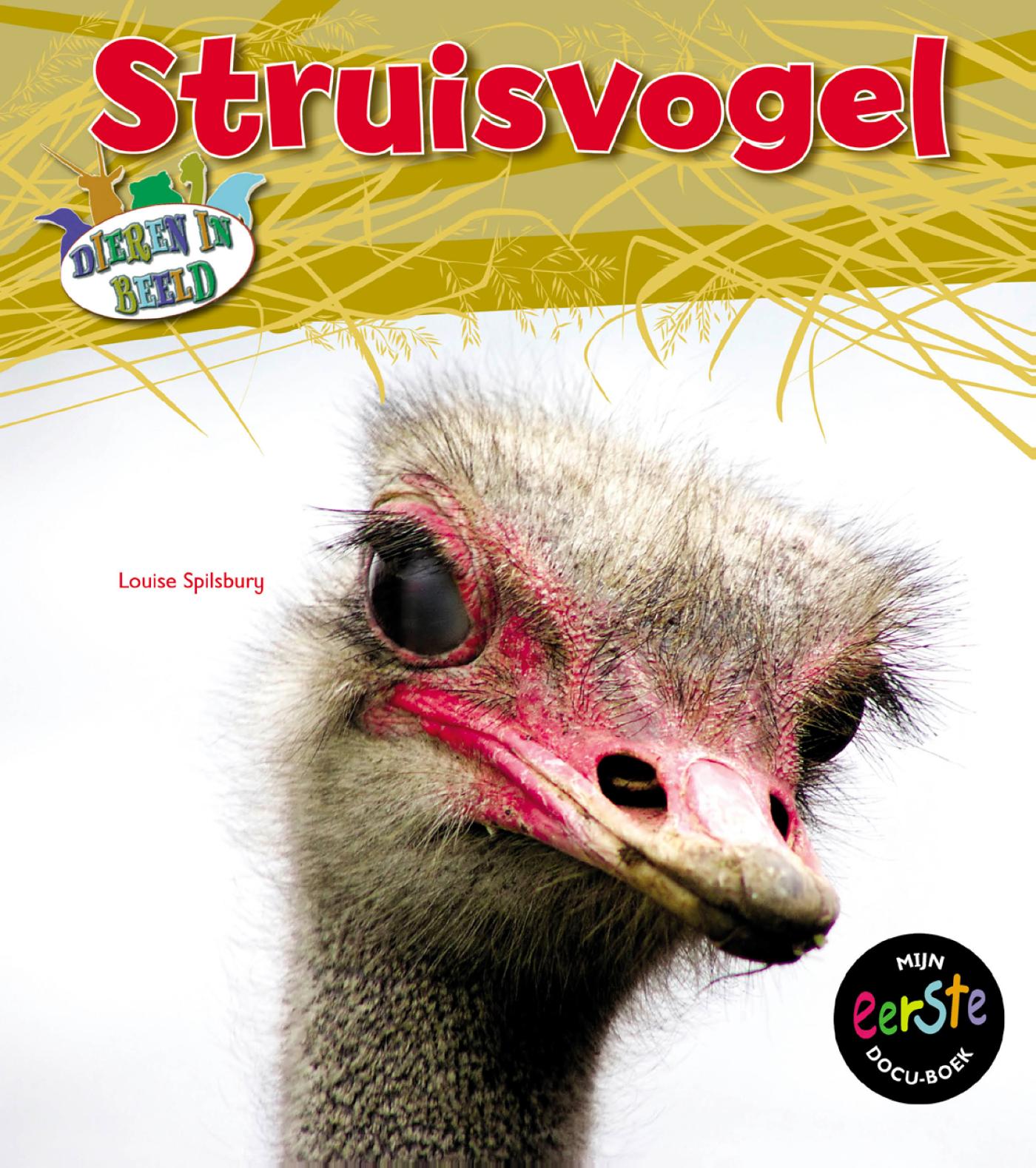 Omslag van Struisvogel