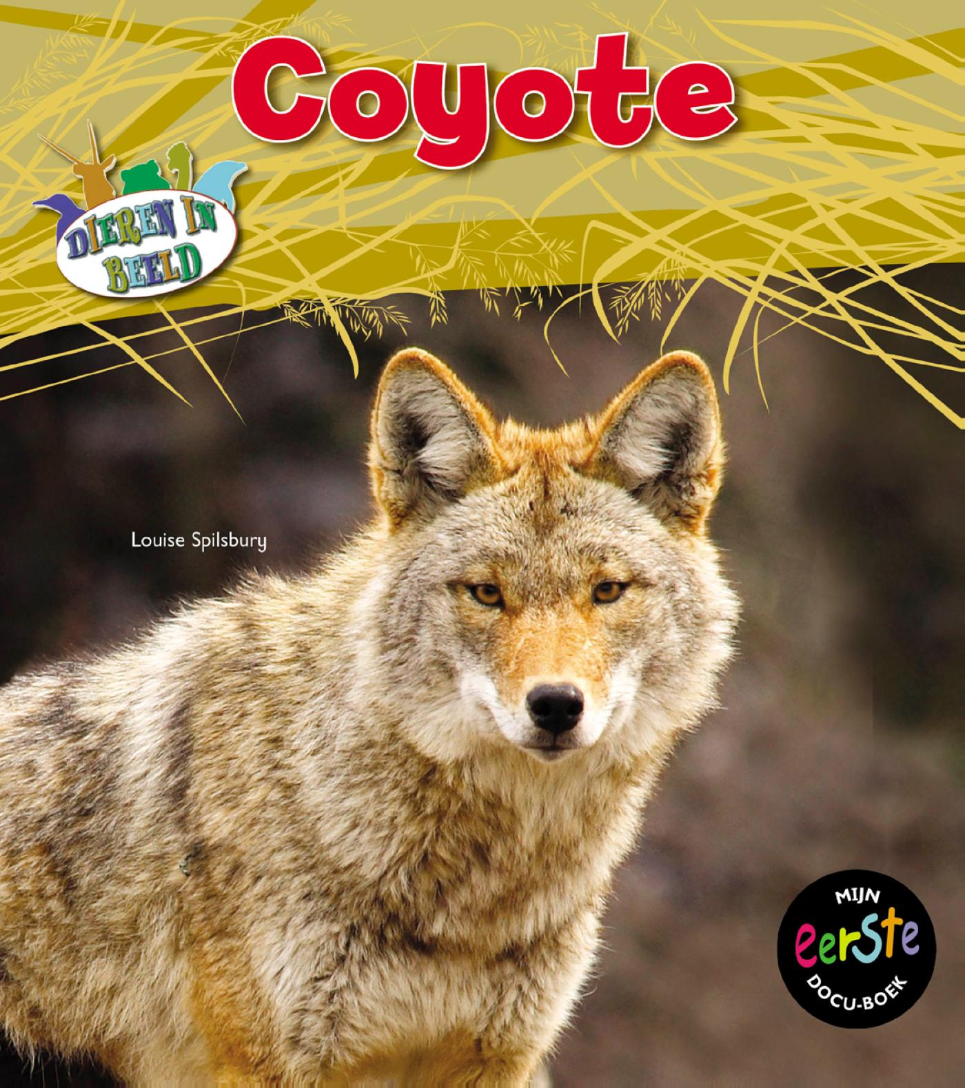 Omslag van Coyote