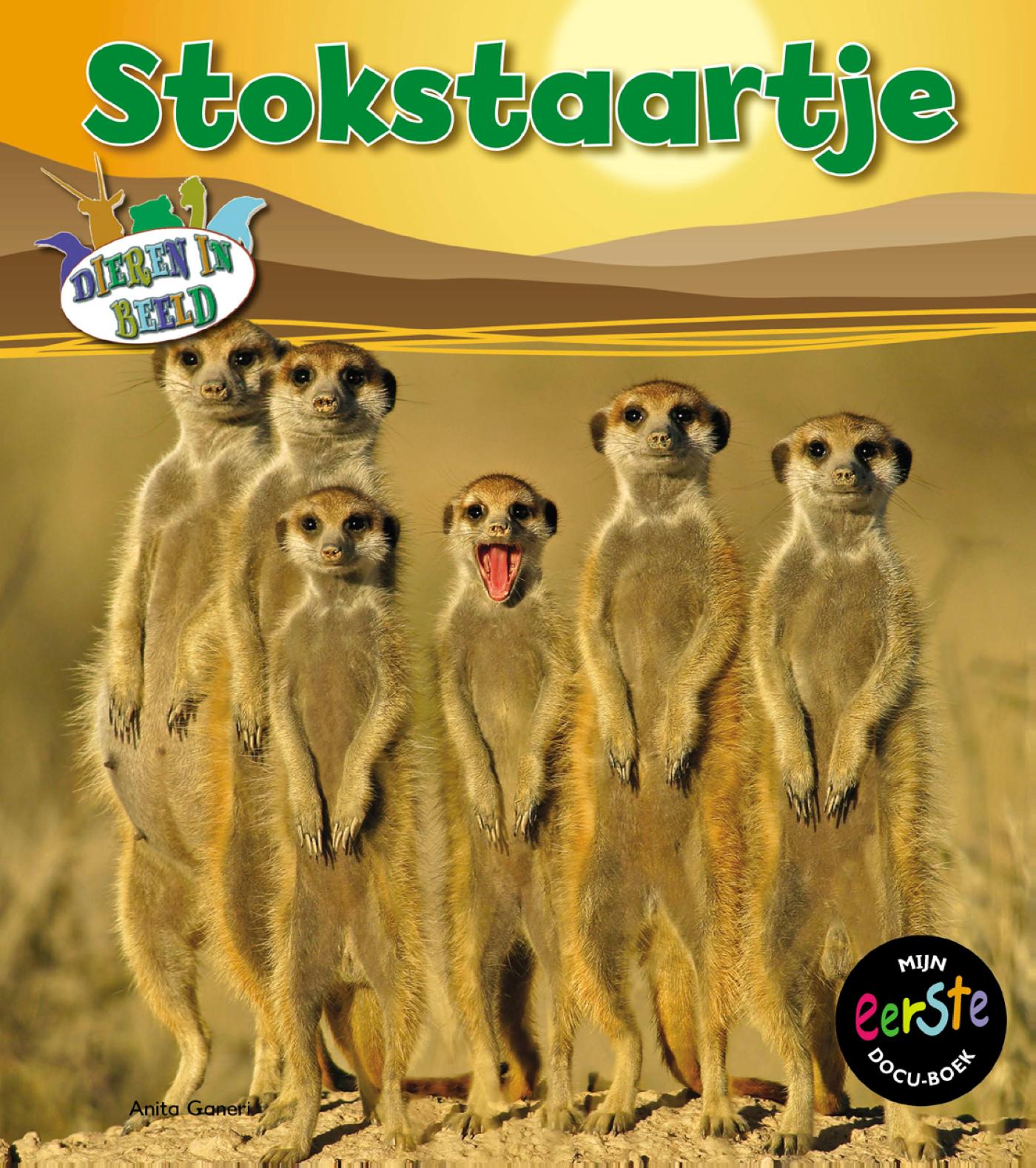 Omslag van Stokstaartje