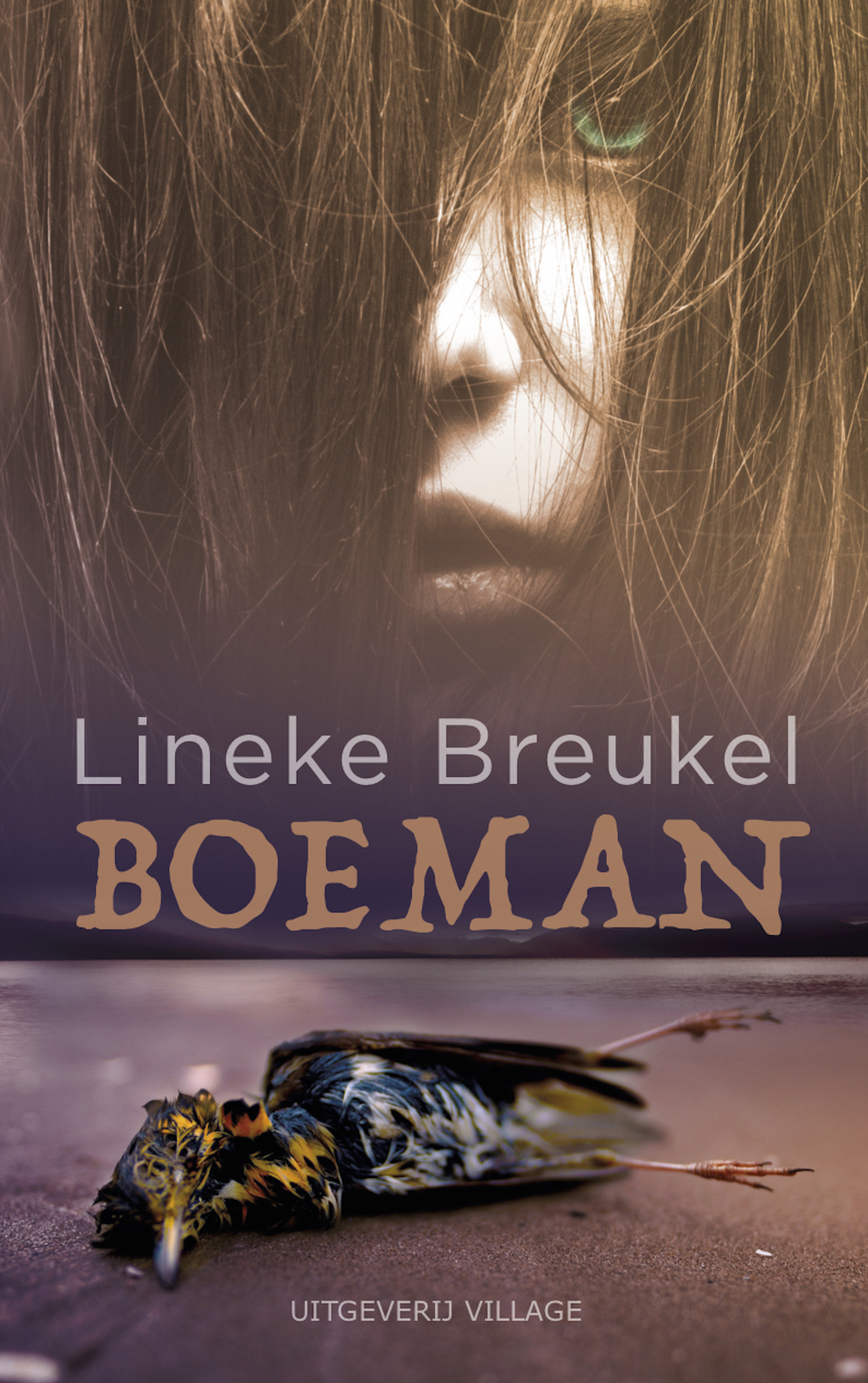 Omslag van Boeman