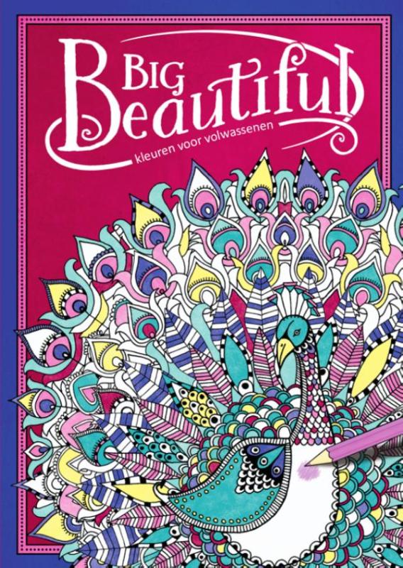 Omslag van Big beautiful