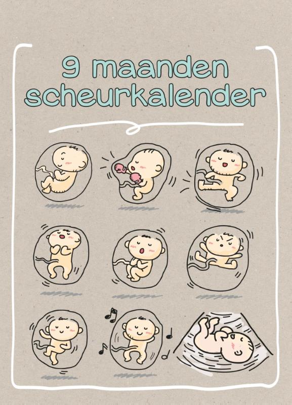 Omslag van 9 maanden scheurkalender
