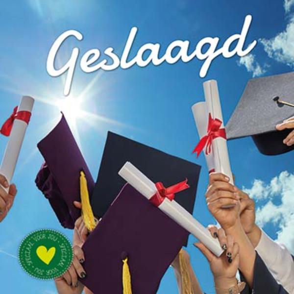 Omslag van Geslaagd