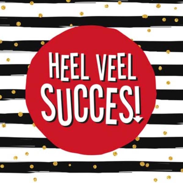 Omslag van Heel veel succes