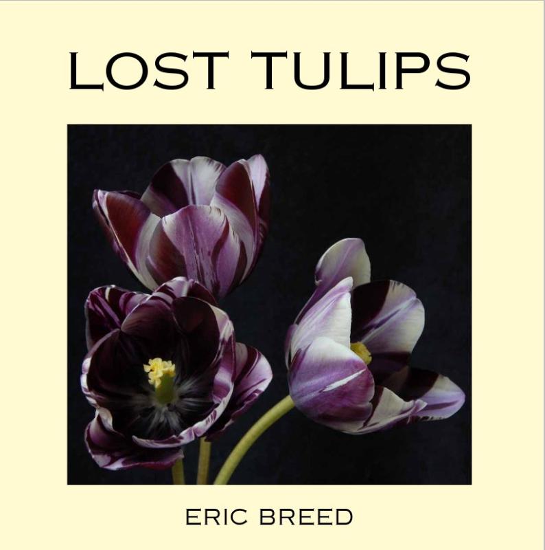 Omslag van Lost tulips