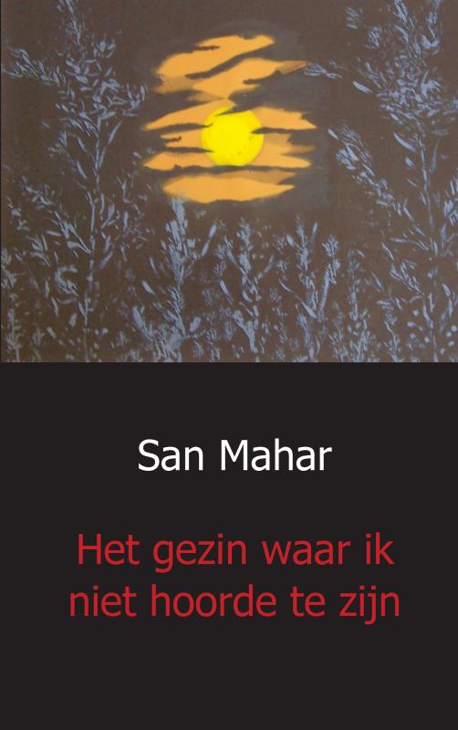 Omslag van Het gezin waar ik niet hoorde te zijn