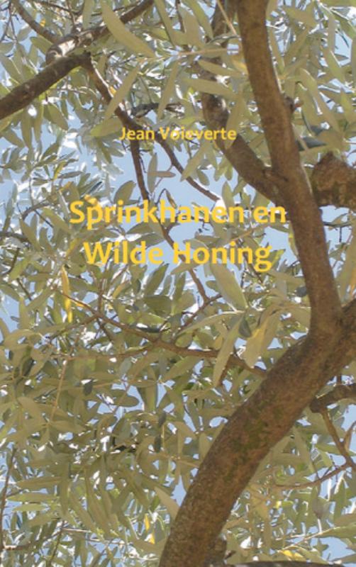 Omslag van Sprinkhanen en wilde honing