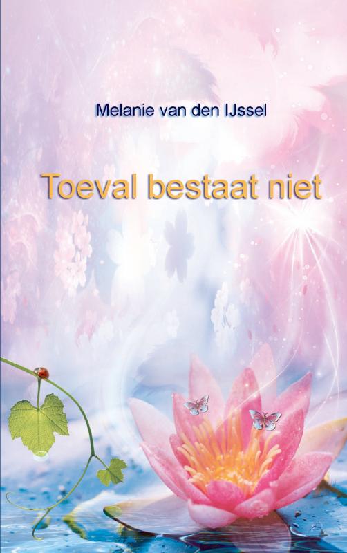 Omslag van Toeval bestaat niet